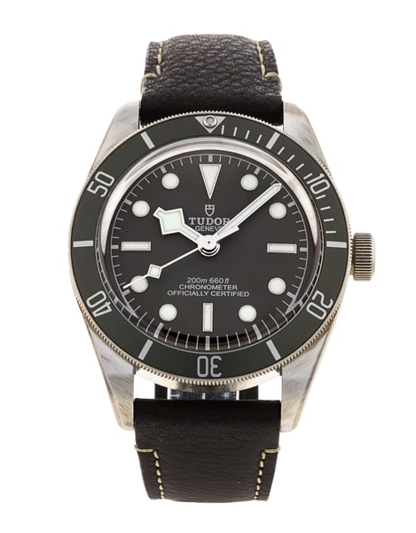 Tudor Black Bay 58 M79010SG-0001